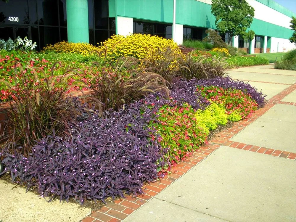 Top-rated outdoor landscaping experts serving Nashville, TN - Poplar Springs