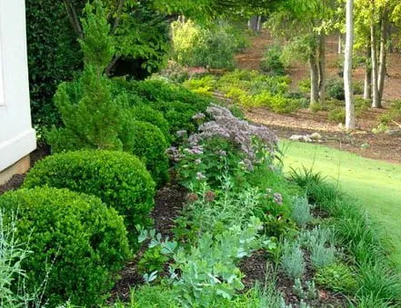 Affordable residential landscaping for year-round maintenance across Nashville, TN - Poplar Springs