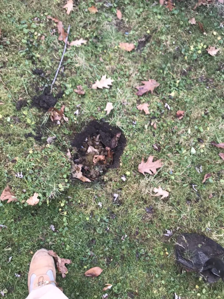 Affordable lawn mowing service for residential properties in Warrensville Heights, OH by Poppa Bear Tree & Lawn Service