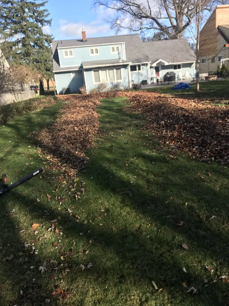 Custom yard maintenance in Warrensville Heights, OH by Poppa Bear Tree & Lawn Service