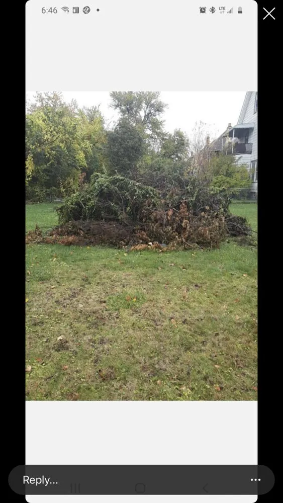 Expert lawn care service for year-round maintenance in Warrensville Heights, OH by Poppa Bear Tree & Lawn Service