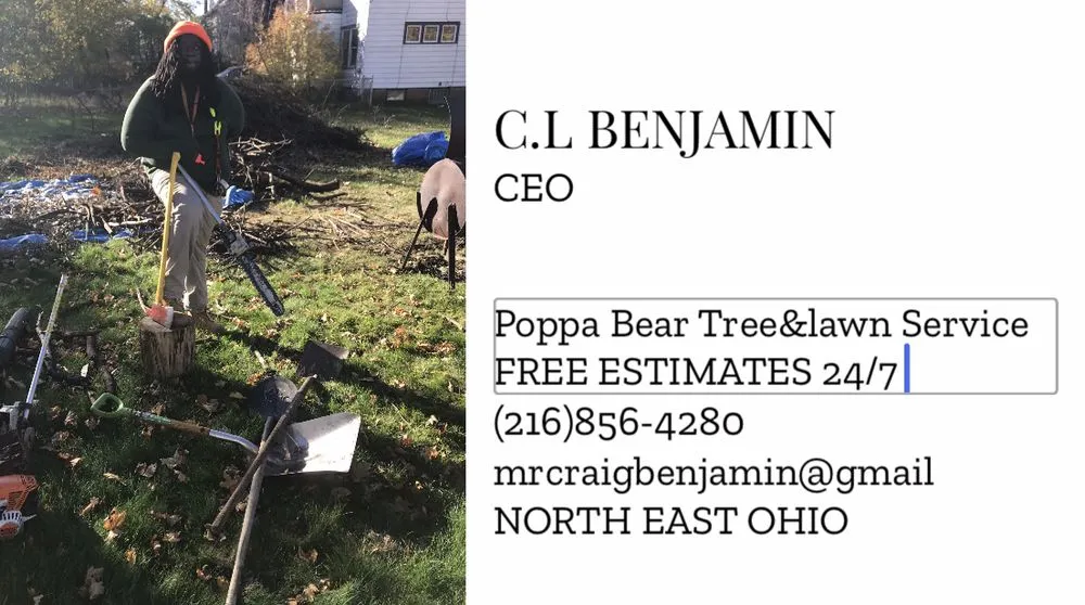 Expert lawn care service for year-round maintenance in Warrensville Heights, OH by Poppa Bear Tree & Lawn Service