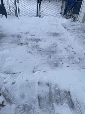 Poppas Lawn Care Logo