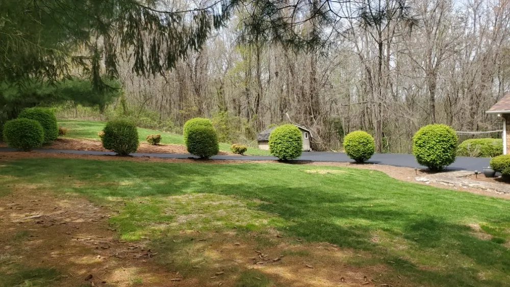 Affordable yard cleanup service experts serving Bluewell, WV - PopPops Xterior
