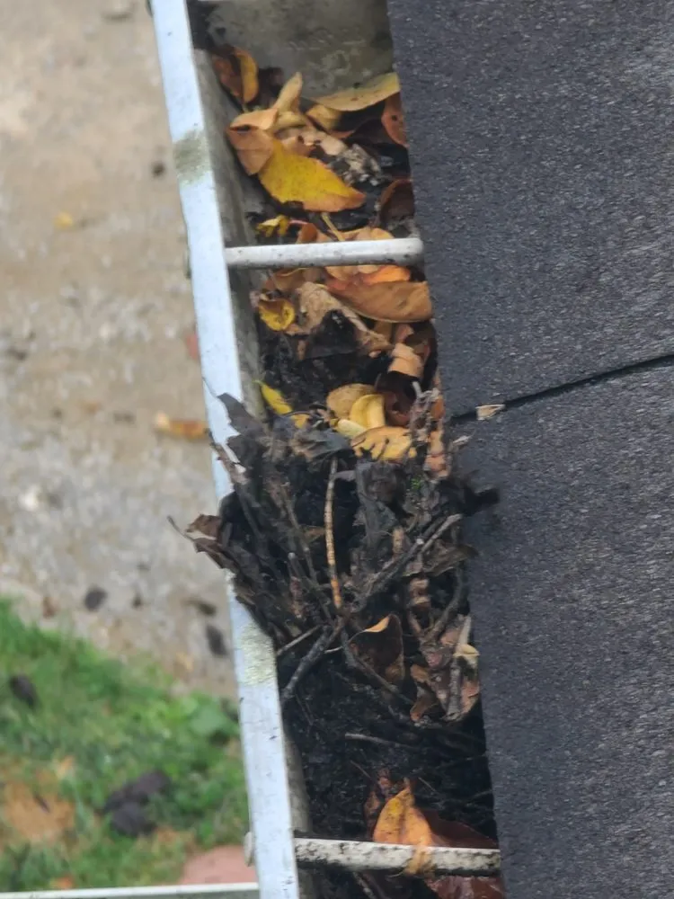 Top-rated yard maintenance in Bluewell, WV - PopPops Xterior