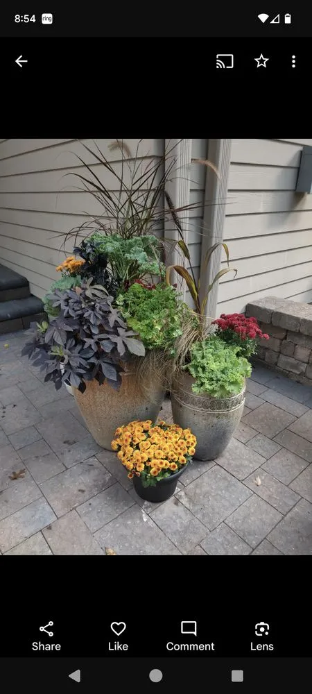 Local landscaping services experts serving Stacy, MN - Poppy & Clover Design