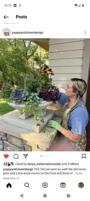 Poppy & Clover Design