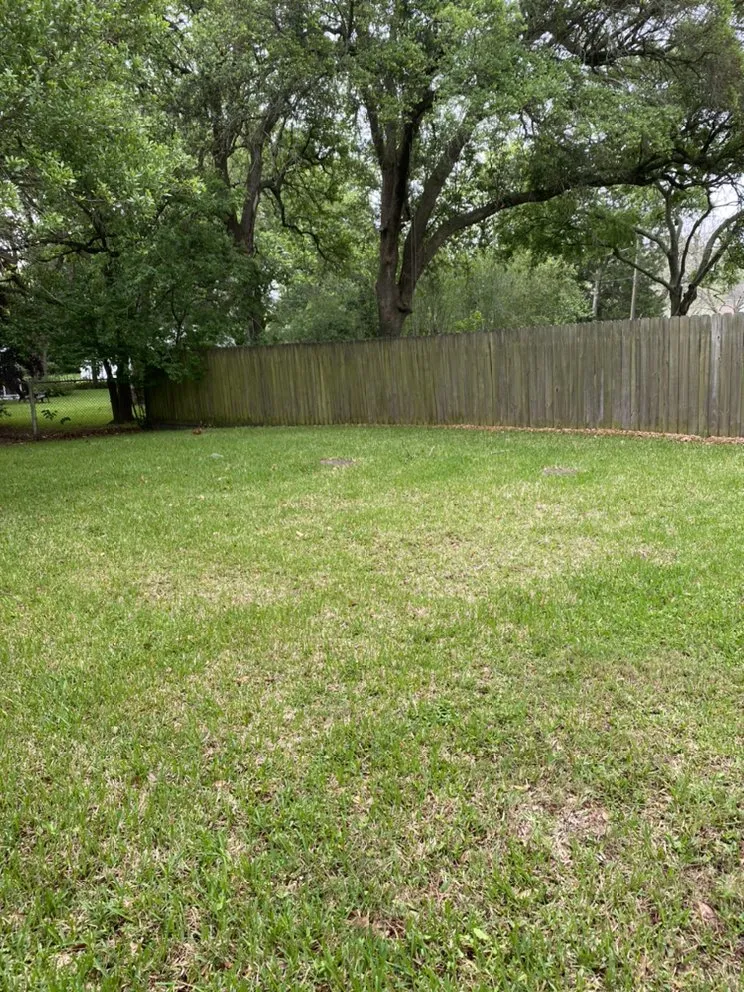 Affordable yard cleanup service in La Marque, TX by Pops and Sons