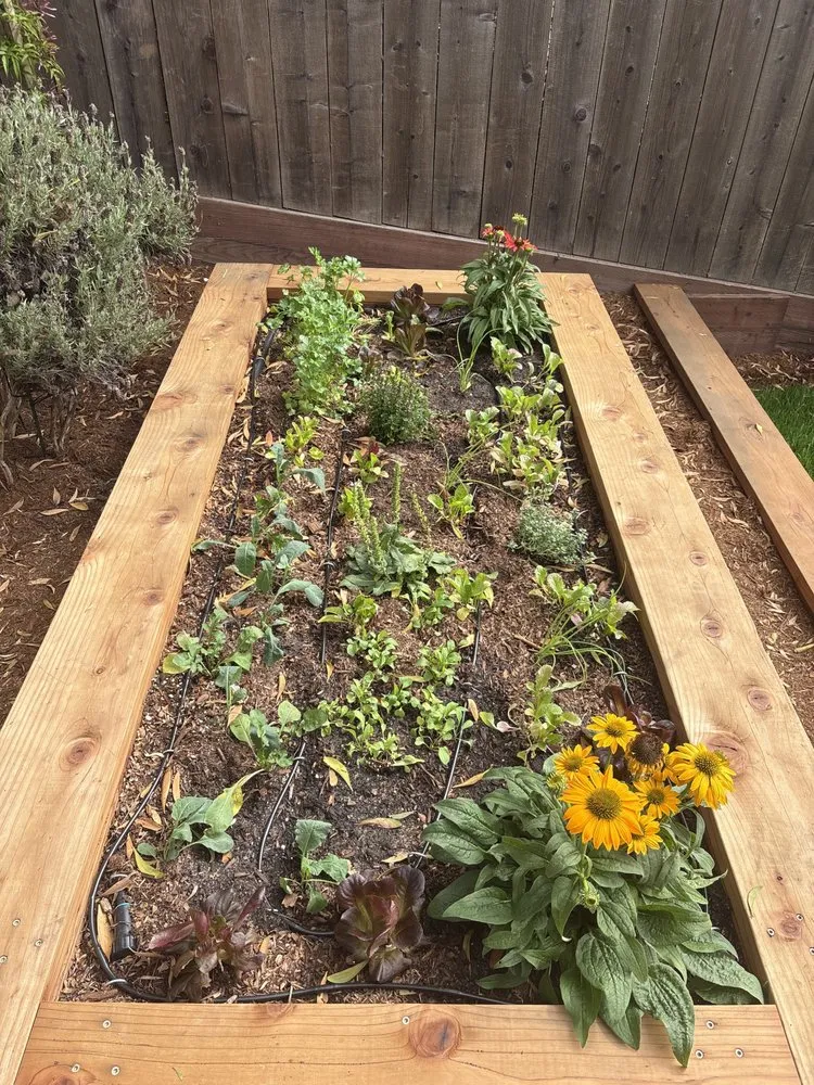 Custom residential landscaping experts serving San Francisco, CA - Pop's Gardens