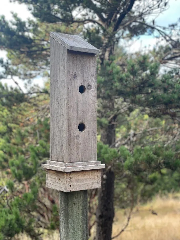 Professional landscape design in San Francisco, CA - Pop's Gardens