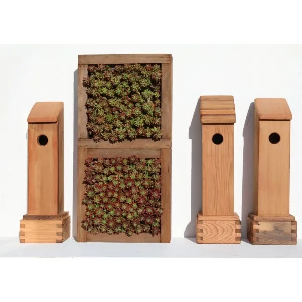 Reliable yard cleanup service in San Francisco, CA by Pop's Gardens