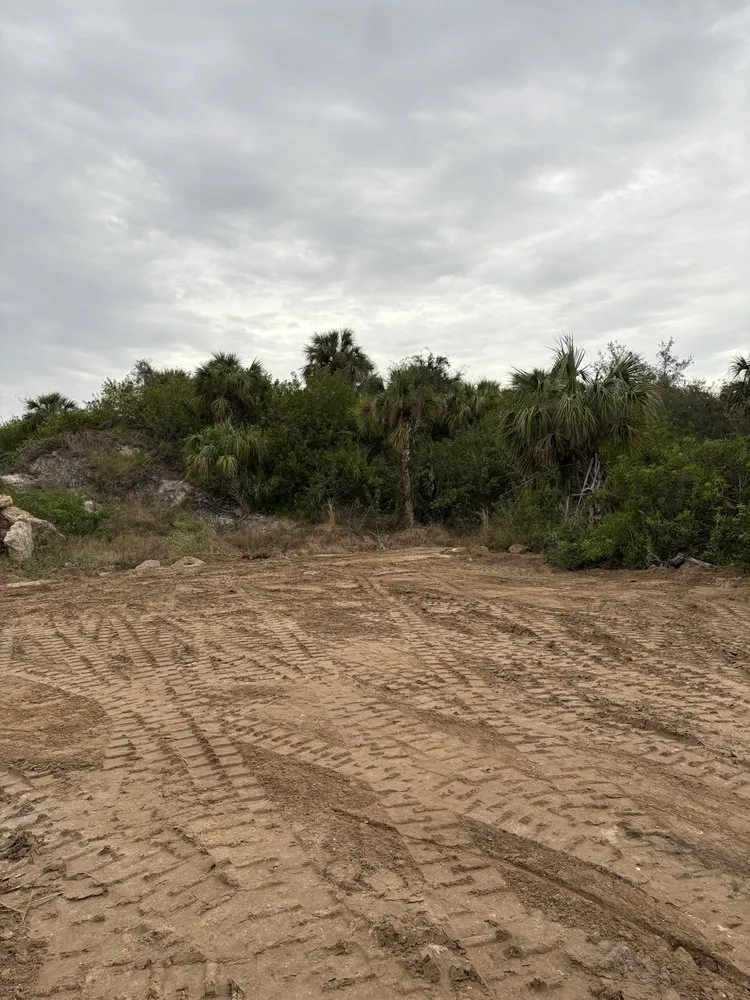 Affordable residential landscaping experts serving Arcadia, FL - Pop's Property Management