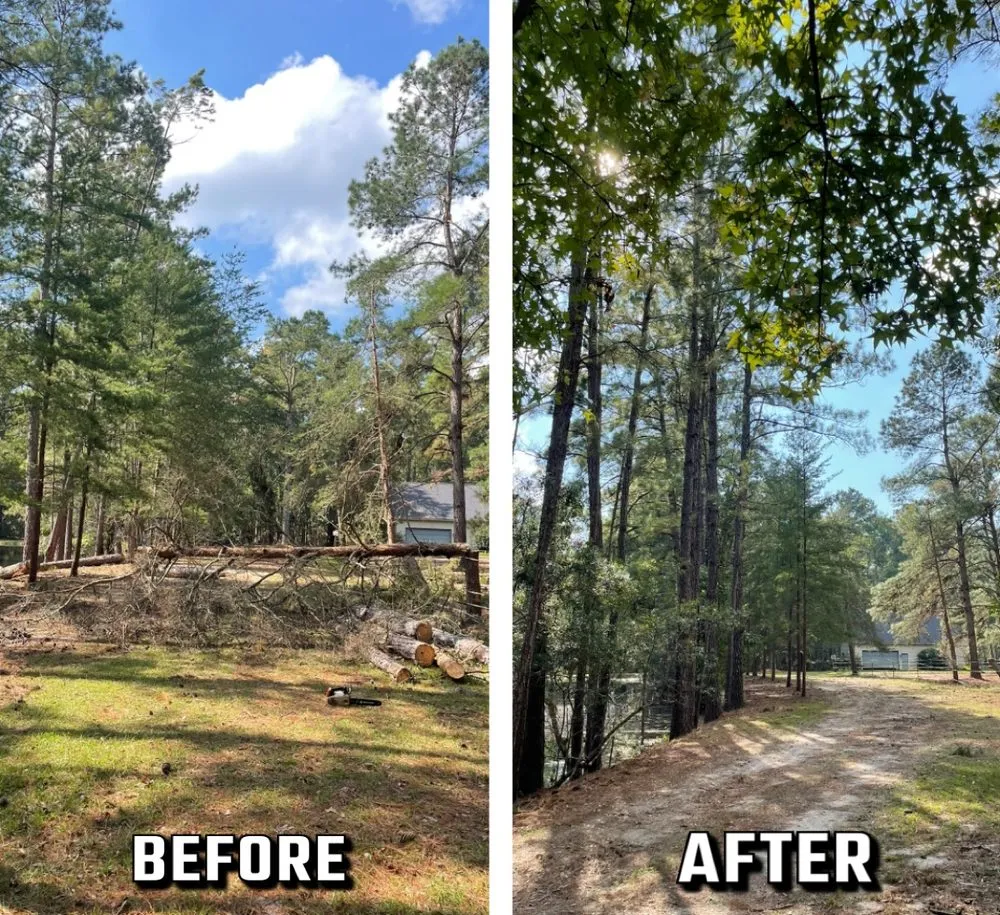 Expert garden landscaping in Arcadia, FL - Pop's Property Management