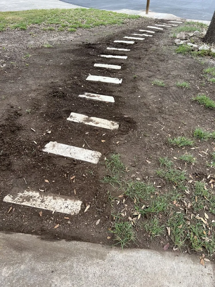 Custom landscape design with custom design across San Antonio, TX - Pops Tree