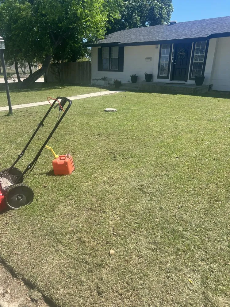 Local residential landscaping in San Antonio, TX - Pops Tree