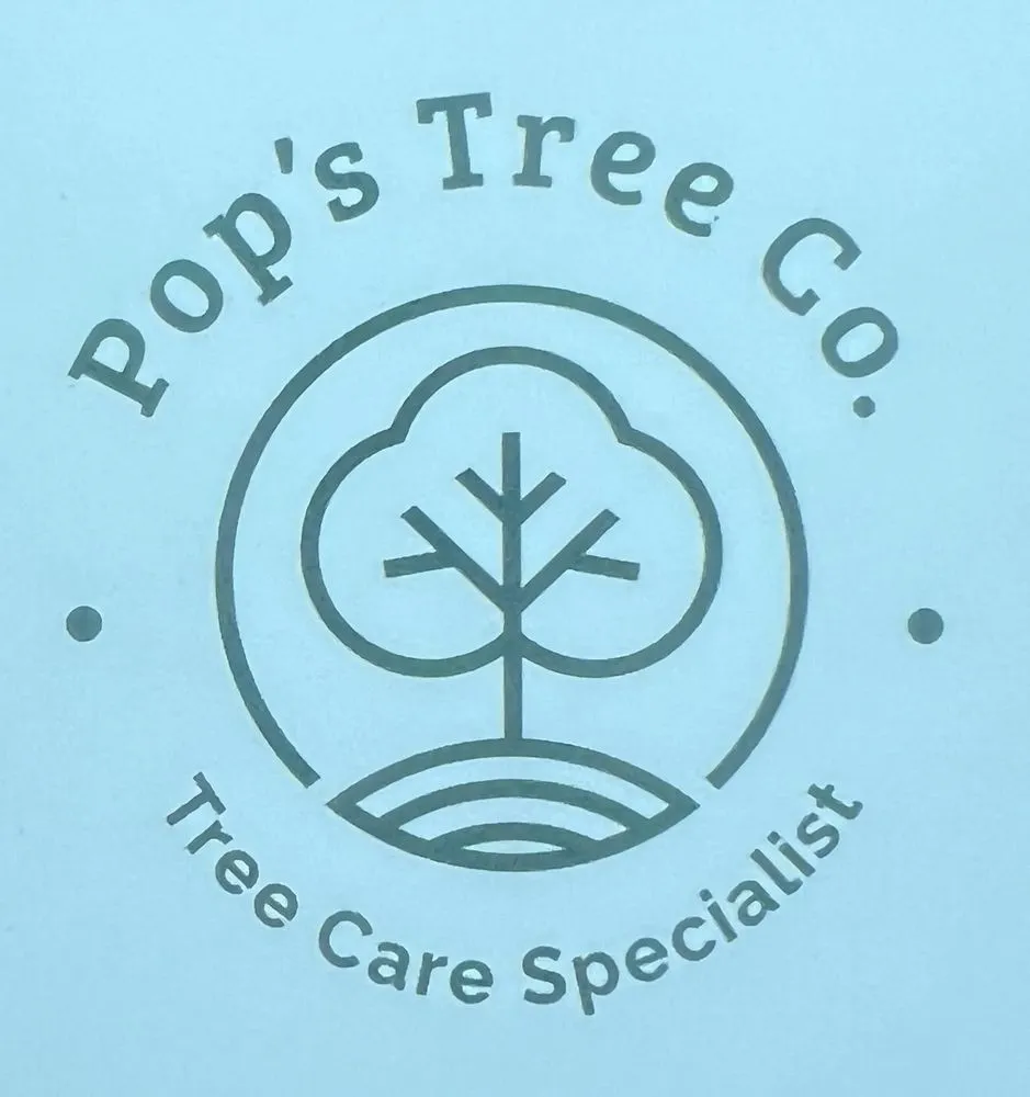 Reliable lawn mowing service in San Antonio, TX by Pops Tree