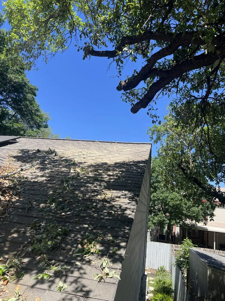 Expert yard maintenance in San Antonio, TX - Pops Tree