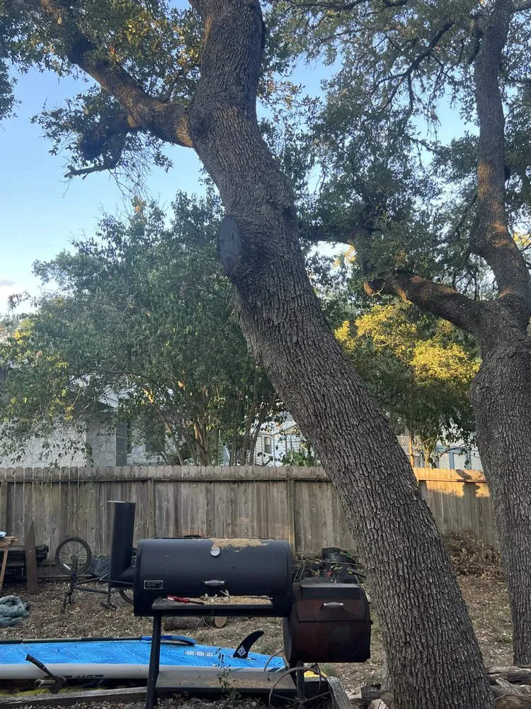 Reliable lawn care service in San Antonio, TX by Pops Tree