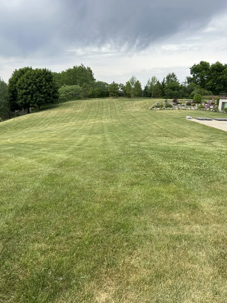 Affordable yard cleanup service for residential properties in Little Chute, WI by Popular Property Maintenance