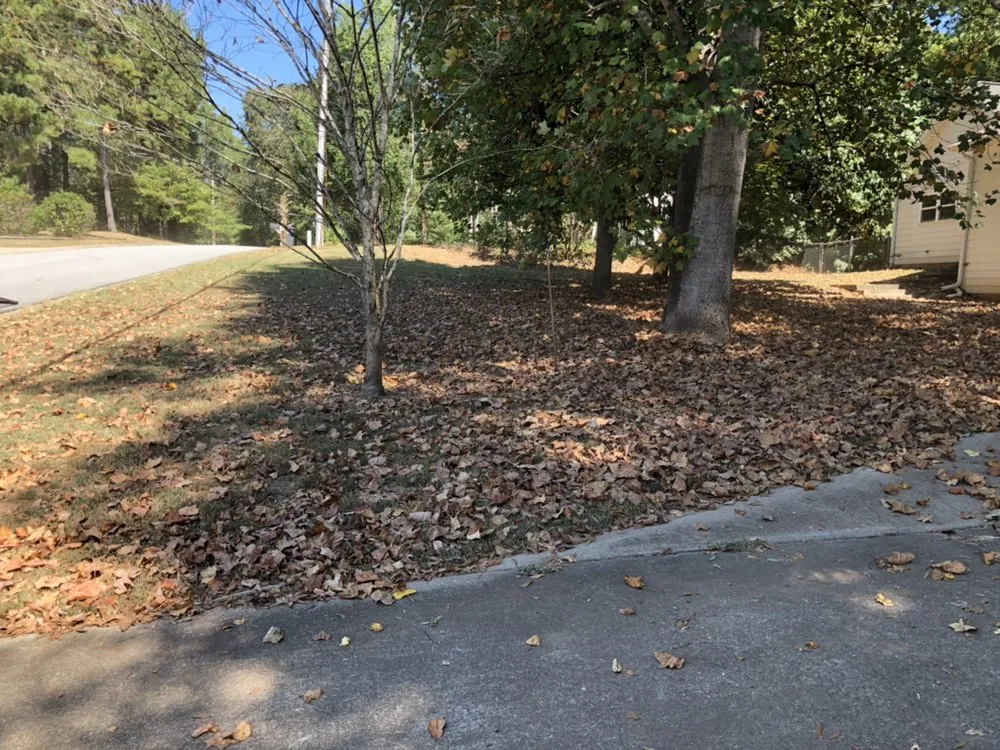 Custom outdoor landscaping in Newnan, GA - Porch View Lawn Care