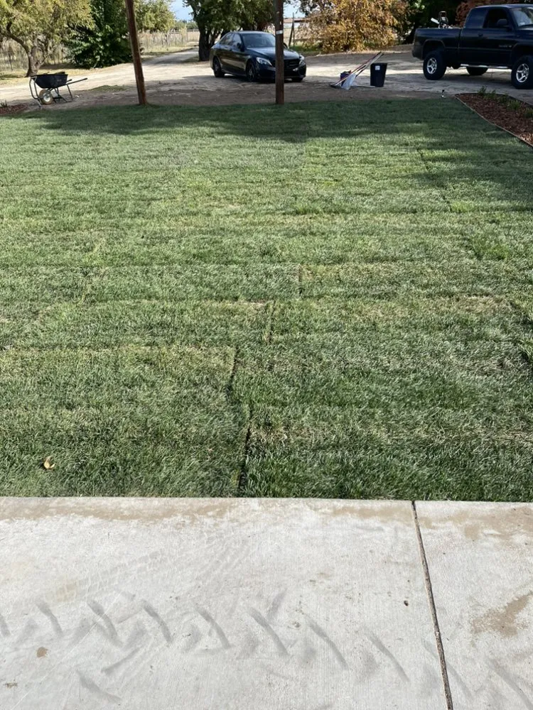 Expert residential landscaping for year-round maintenance in Stockton, CA by Porchview Landscaping And Lawn Care