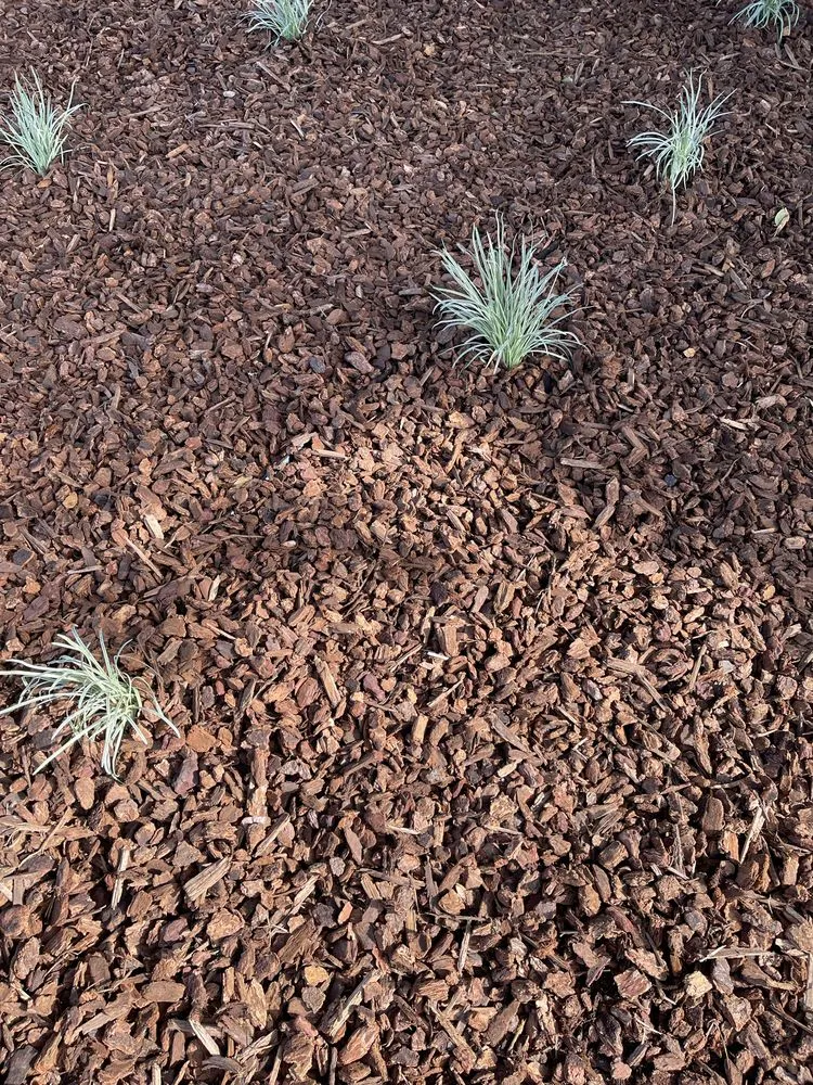 Local yard cleanup service for homes in Stockton, CA by Porchview Landscaping And Lawn Care