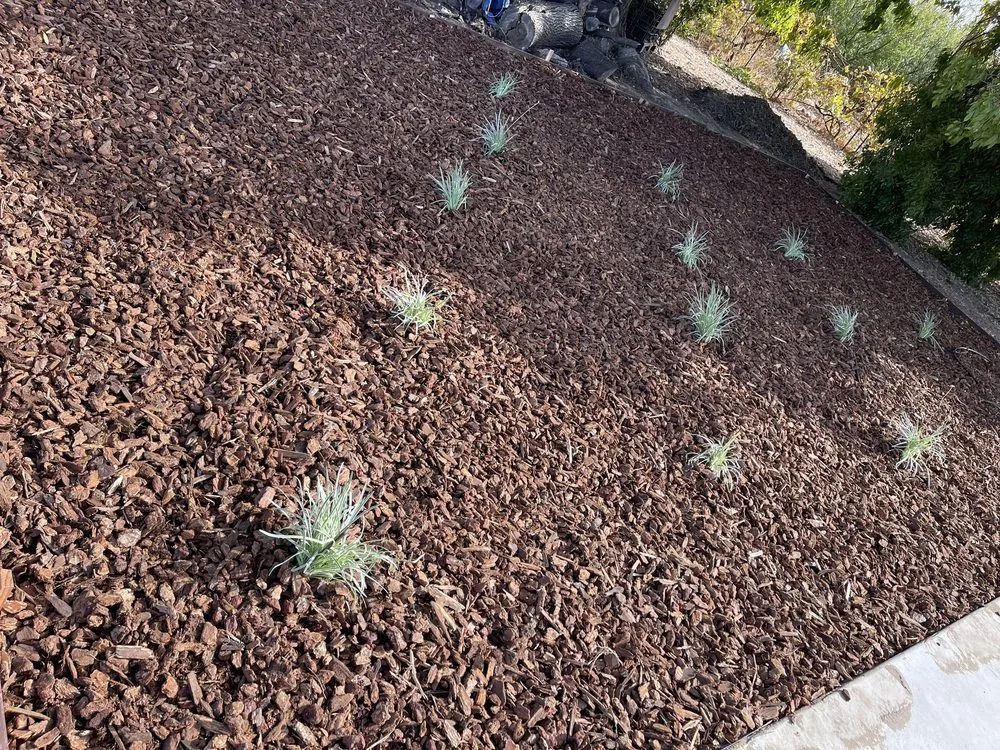 Reliable lawn mowing service for year-round maintenance in Stockton, CA by Porchview Landscaping And Lawn Care