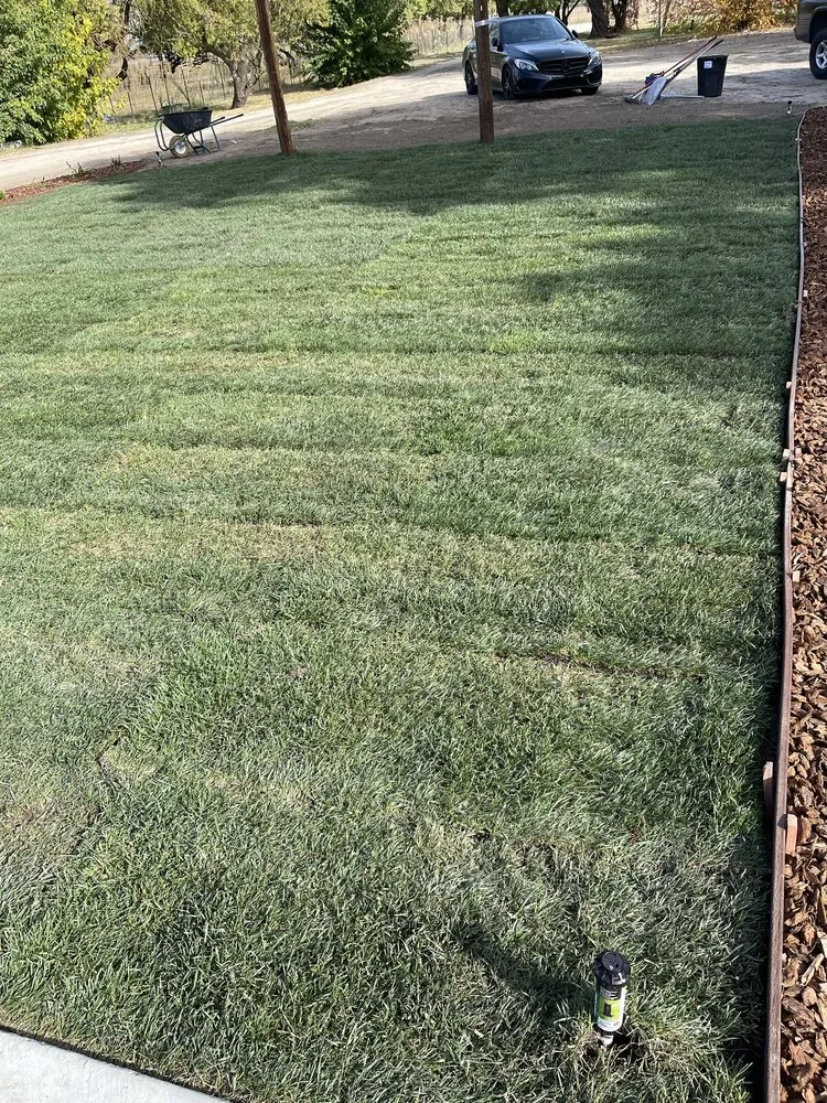 Expert lawn care service in Stockton, CA - Porchview Landscaping And Lawn Care