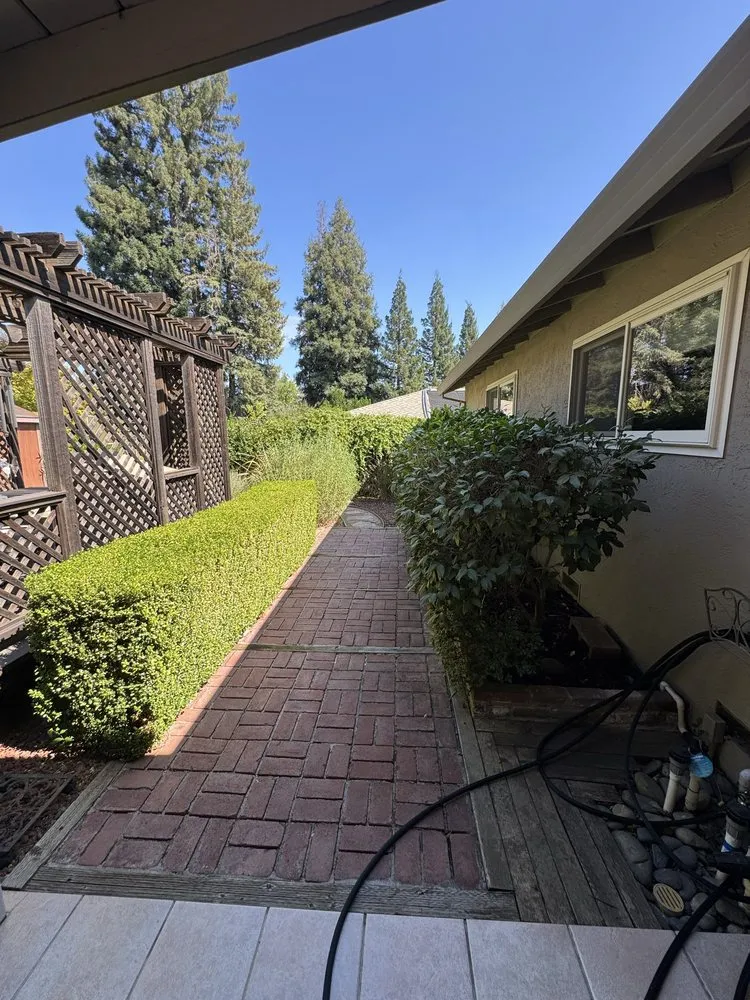 Expert residential landscaping for beautiful yards in Stockton, CA by Porchview Landscaping And Lawn Care