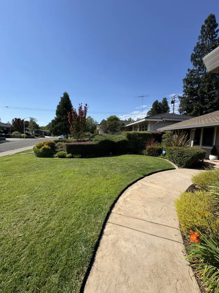 Professional outdoor landscaping in Stockton, CA by Porchview Landscaping And Lawn Care