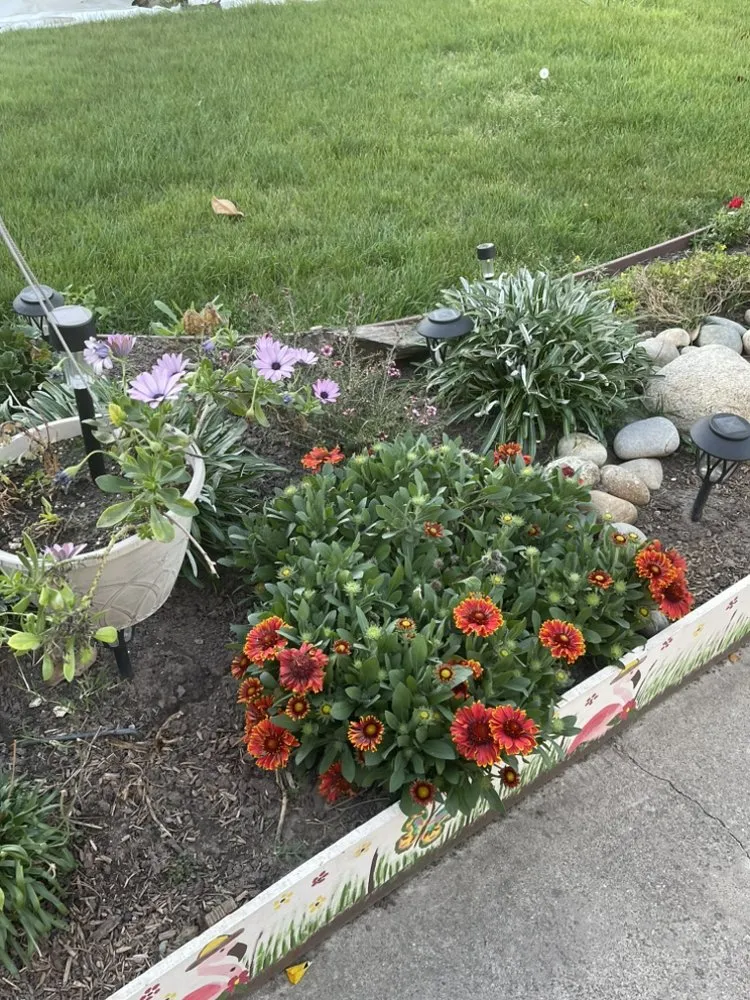 Custom yard maintenance experts serving Stockton, CA - Porchview Landscaping And Lawn Care