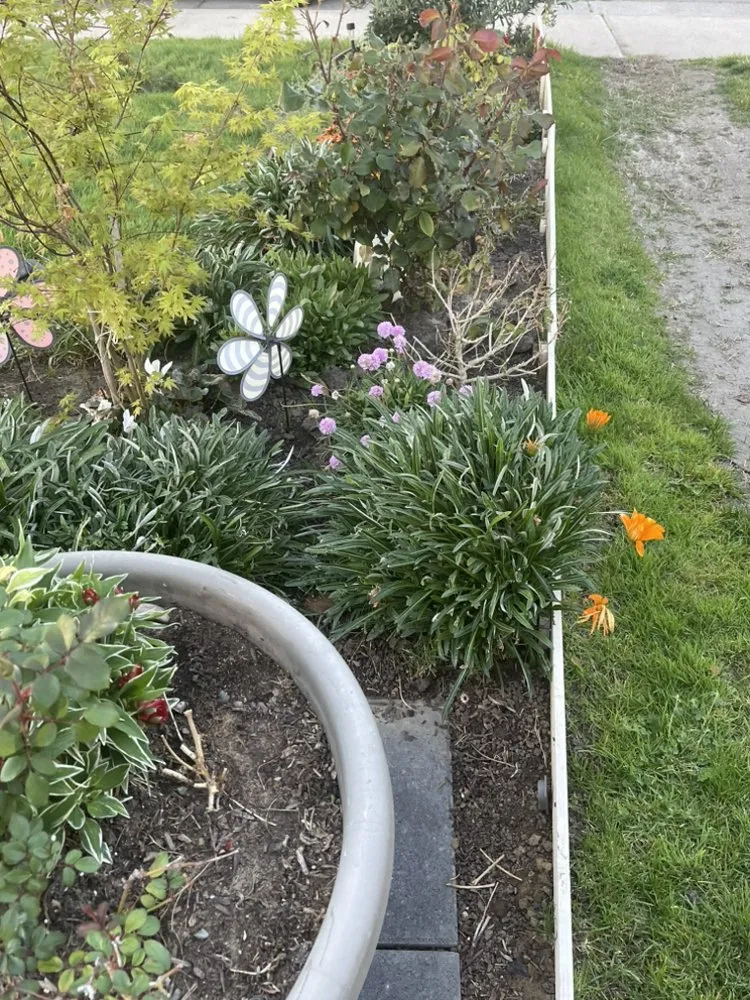 Affordable landscape installation for residential properties across Stockton, CA - Porchview Landscaping And Lawn Care