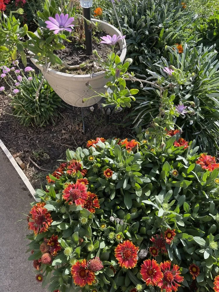 Local lawn mowing service for year-round maintenance in Stockton, CA by Porchview Landscaping And Lawn Care