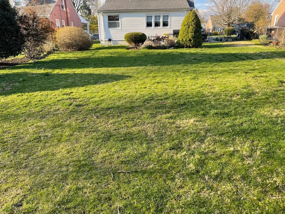 Custom landscape installation in Drexel Hill, PA by Porreca Landscaping