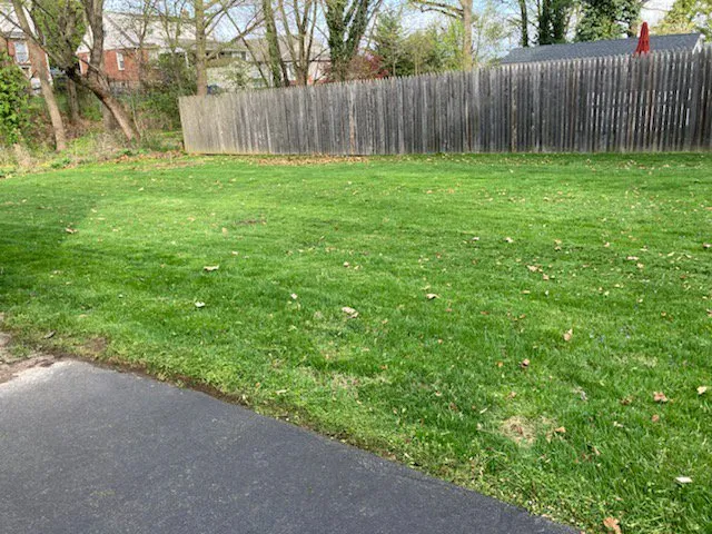 Reliable yard maintenance in Drexel Hill, PA - Porreca Landscaping