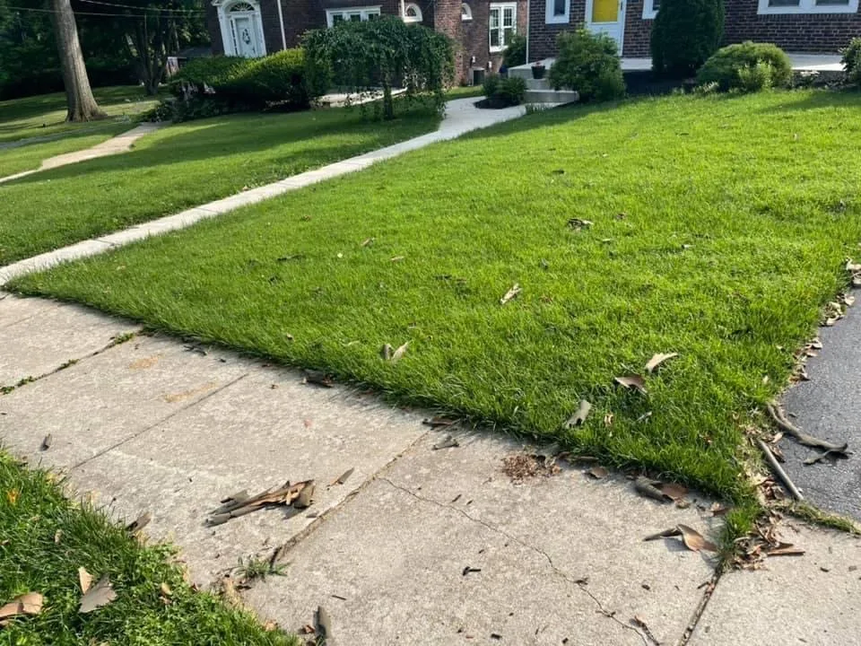 Local landscaping services for residential properties across Drexel Hill, PA - Porreca Landscaping