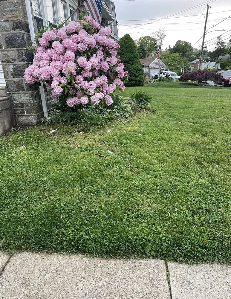 Affordable residential landscaping experts serving Drexel Hill, PA - Porreca Landscaping