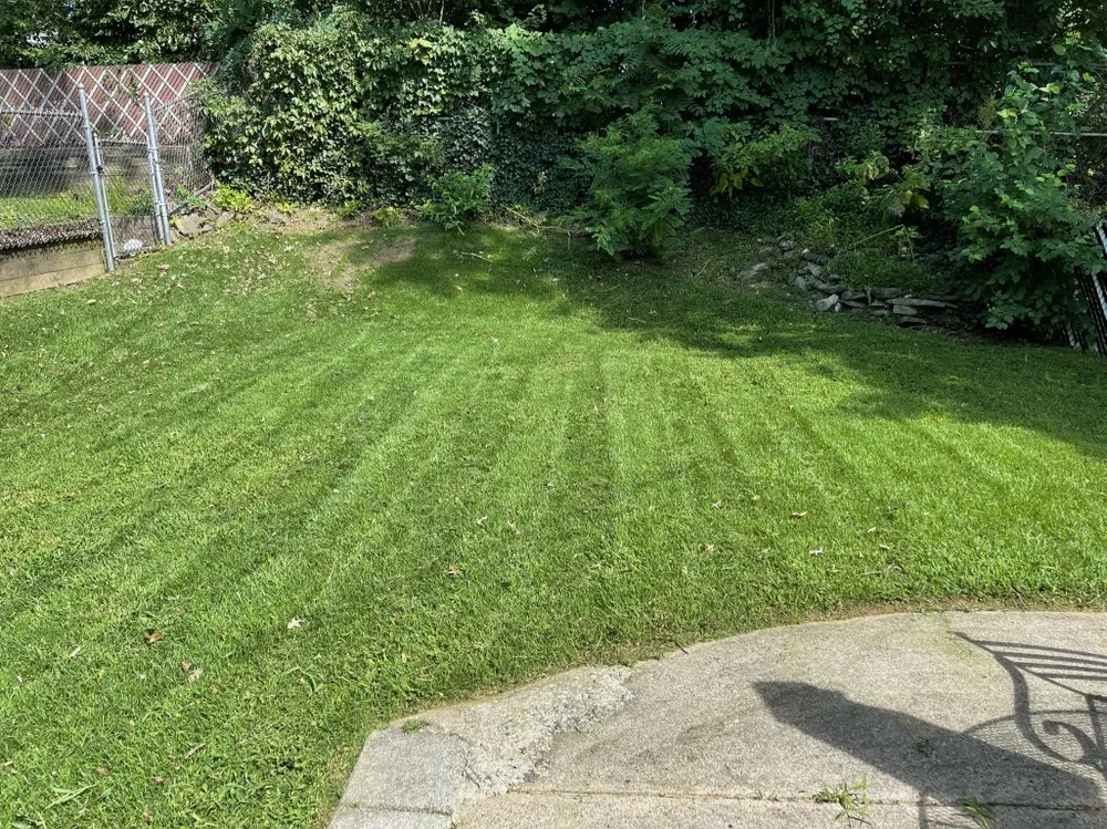 Professional residential landscaping in Drexel Hill, PA - Porreca Landscaping