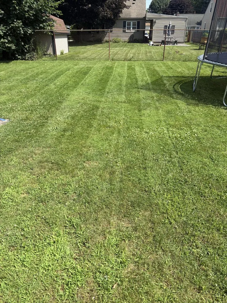 Custom landscaping services with custom design across Canton, OH - Porrini Lawn Care