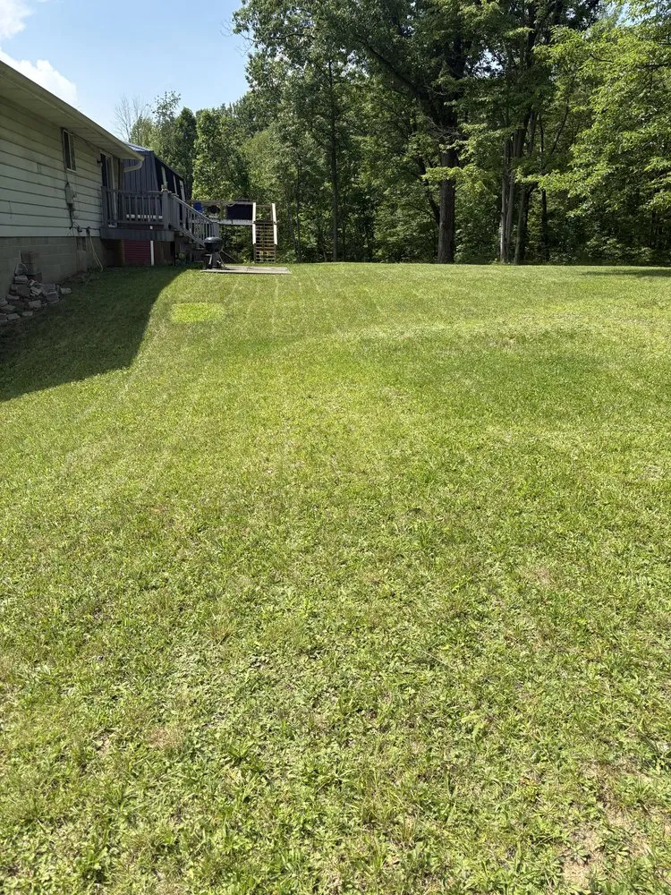 Affordable lawn mowing service in Canton, OH by Porrini Lawn Care