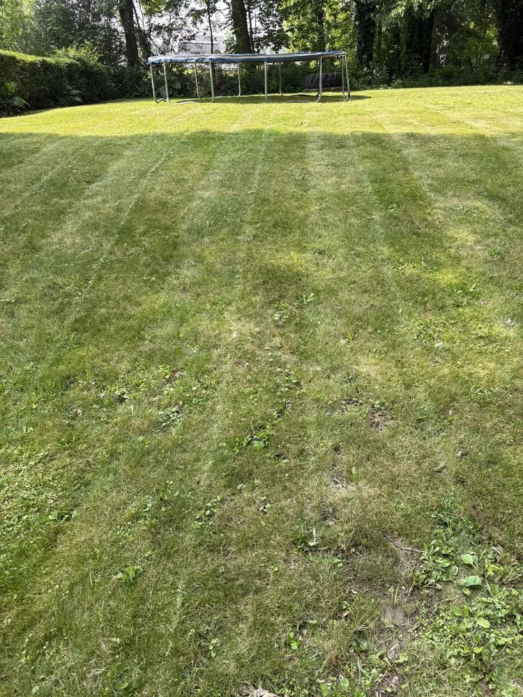 Top-rated outdoor landscaping near you in Canton, OH by Porrini Lawn Care