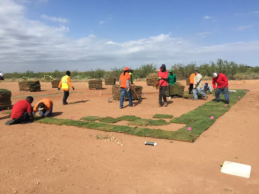 Reliable landscaping services for residential properties across Odessa, TX - Porshia’s Lawn Service