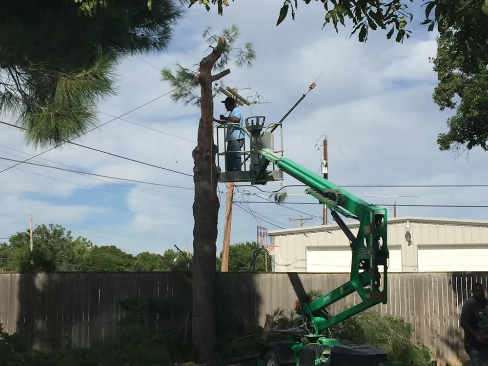 Custom landscaping services experts serving Odessa, TX - Porshia’s Lawn Service