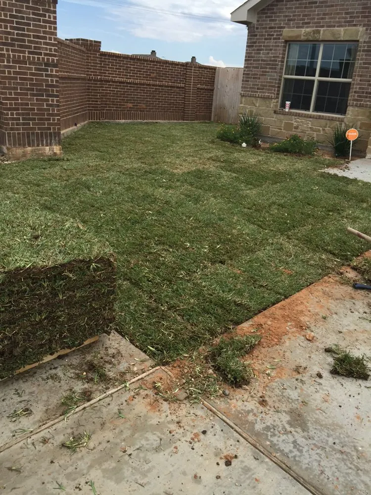 Expert lawn mowing service experts serving Odessa, TX - Porshia’s Lawn Service