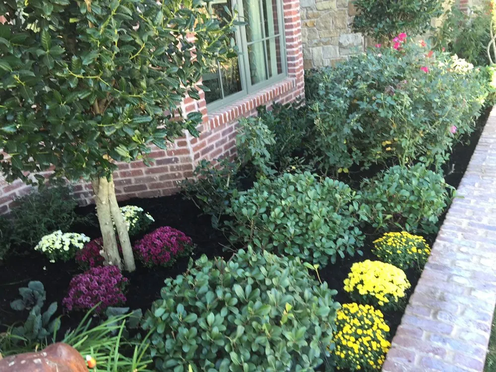 Affordable yard maintenance for homes across Odessa, TX - Porshia’s Lawn Service