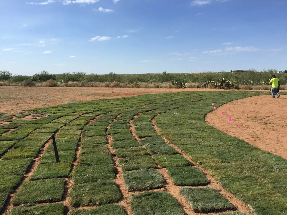 Reliable residential landscaping in Odessa, TX - Porshia’s Lawn Service
