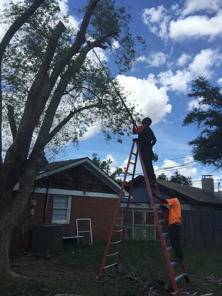 Reliable yard maintenance experts serving Odessa, TX - Porshia’s Lawn Service