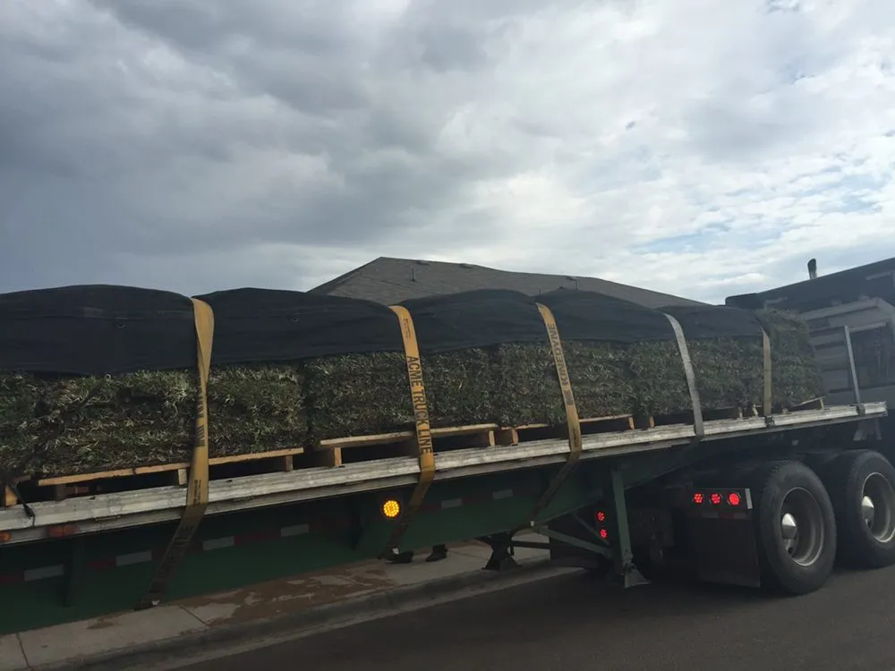 Reliable landscape installation for year-round maintenance in Odessa, TX by Porshia’s Lawn Service