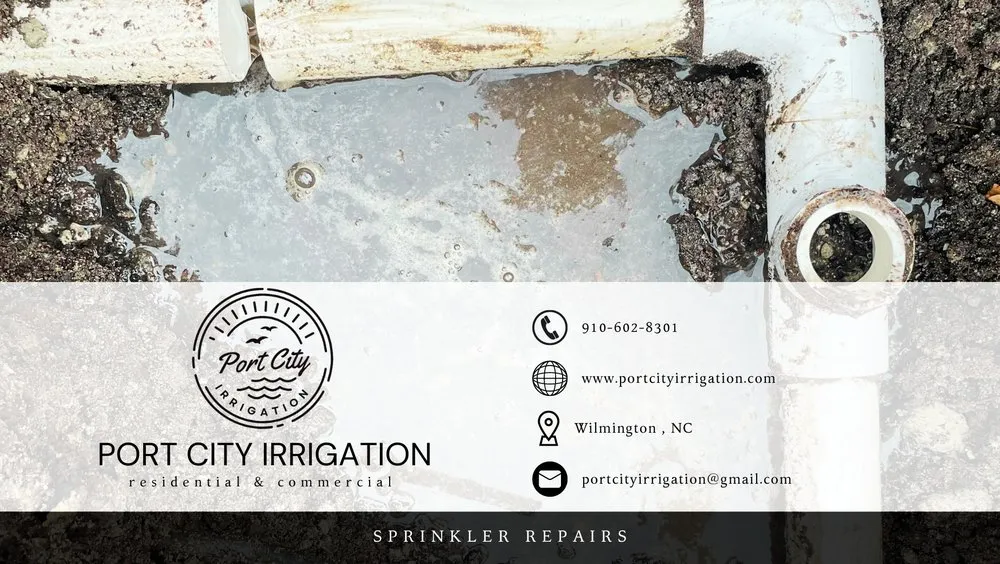 Local lawn care service for year-round maintenance in Wilmington, NC by Port City Irrigation