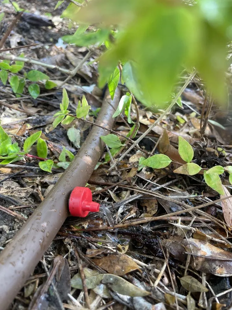 Local residential landscaping for year-round maintenance across Wilmington, NC - Port City Irrigation